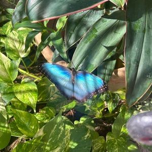 Meet your Posher, Alisa